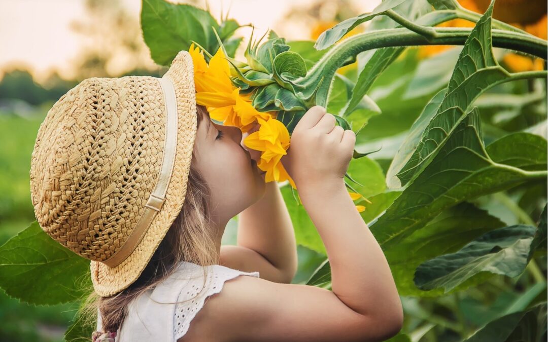 Anosmia – Loss of sense of smell